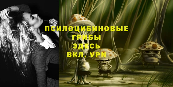 бошки Абдулино
